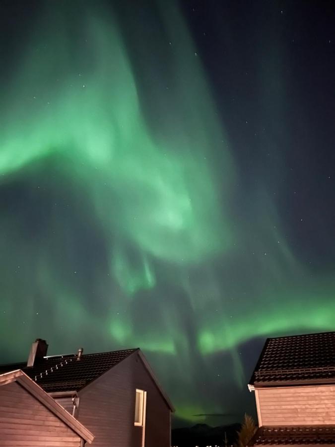 Panorama 180 Degree Utrolig Utsikt Hébergement de vacances Tromsø