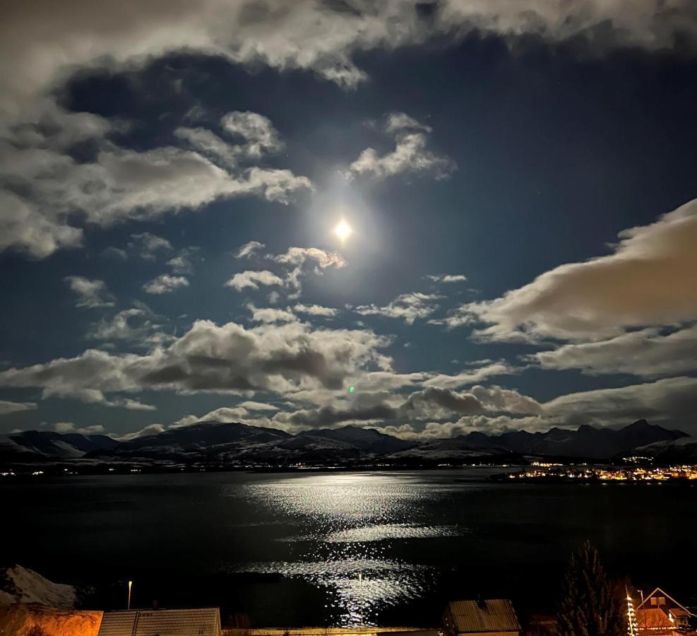 Panorama 180 Degree Utrolig Utsikt